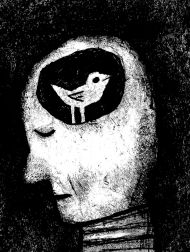 sortie dvd	
 Ai-je Le Droit D’avoir Des Droits ?