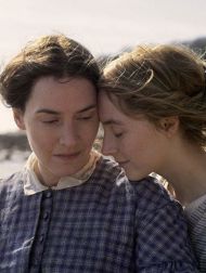 sortie dvd	
 Ammonite