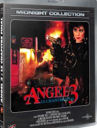 sortie dvd	
 Angel 3 : Le Chapitre Final