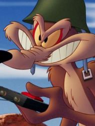 sortie dvd	
 Coyote Vs. Acme