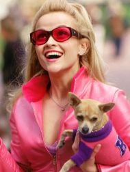 sortie dvd	
 Legally Blonde 3