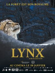 sortie dvd	
 Lynx