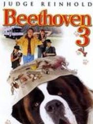 sortie dvd	
 Beethoven 3