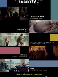 sortie dvd	
 Histoire(s) De Famille(s)