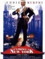 sortie dvd	
 Un Prince à New York