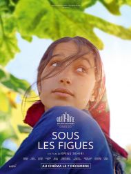 sortie dvd	
 Sous Les Figues