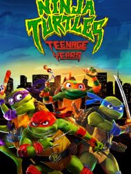 sortie dvd	
 Ninja Turtles : Teenage Years