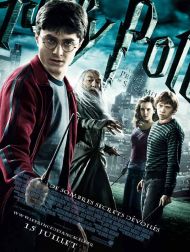 sortie dvd	
 Harry Potter Et Le Prince De Sang Mêlé
