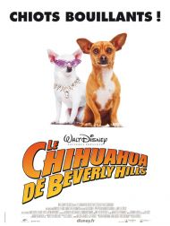 sortie dvd	
 Le Chihuahua De Beverly Hills