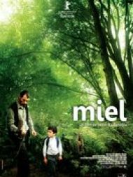 sortie dvd	
 Miel