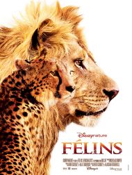 sortie dvd	
 Félins - Le Royaume Du Courage