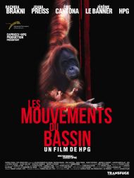 sortie dvd	
 Les Mouvements Du Bassin