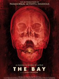sortie dvd	
 The Bay