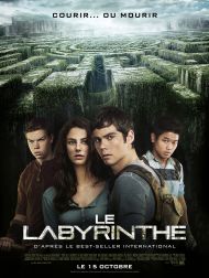 sortie dvd	
 Le Labyrinthe