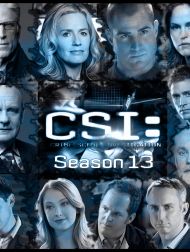 sortie dvd	
 Les Experts Saison 13