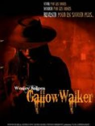 sortie dvd	
 Gallowwalker
