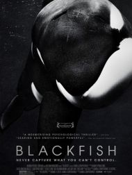 sortie dvd	
 BLACKFISH