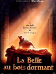 sortie dvd	
 La Belle au Bois Dormant
