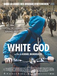 sortie dvd	
 White God