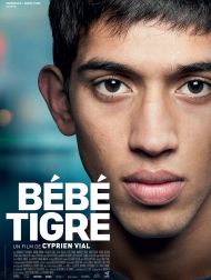 sortie dvd	
 Bébé Tigre