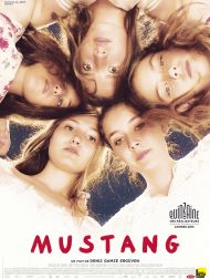 sortie dvd	
 Mustang