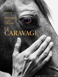 sortie dvd	
 Le Caravage