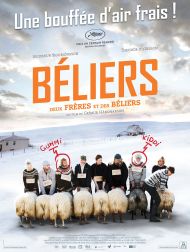 sortie dvd	
 Béliers
