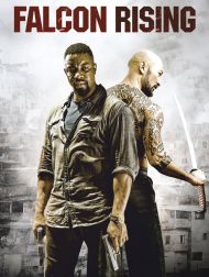 sortie dvd	
 Falcon Rising