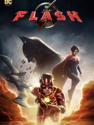 sortie dvd	
 The Flash