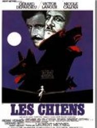 sortie dvd	
 Les Chiens