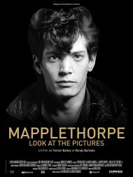 sortie dvd	
 Mapplethorpe : Look At The Pictures