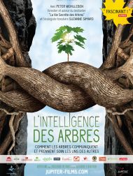 sortie dvd	
 L'Intelligence Des Arbres