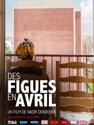 sortie dvd	
 Des Figues En Avril