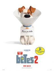 sortie dvd	
 Comme Des Bêtes 2
