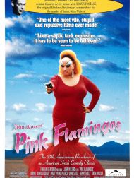 sortie dvd	
 Pink Flamingos