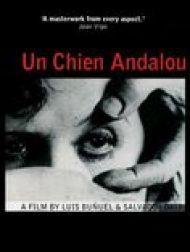 sortie dvd	
 Un Chien Andalou