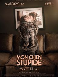 sortie dvd	
 Mon Chien Stupide