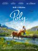 Poly DVD et Blu-Ray