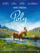 Poly DVD et Blu-Ray