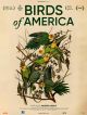 Birds Of America en DVD et Blu-Ray