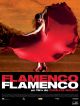 Flamenco Flamenco en DVD et Blu-Ray
