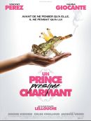 Un Prince (pas Trop) Charmant en DVD et Blu-Ray