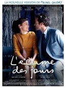 L'Ecume Des Jours en DVD et Blu-Ray