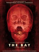 The Bay DVD et Blu-Ray