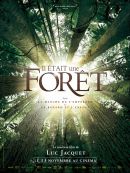 Il était Une Forêt DVD et Blu-Ray