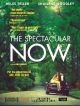The Spectacular Now DVD et Blu-Ray
