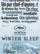 Winter Sleep en DVD et Blu-Ray