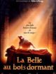 La Belle au Bois Dormant en DVD et Blu-Ray