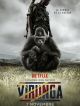 Virunga en DVD et Blu-Ray
