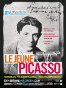 Le Jeune Picasso DVD et Blu-Ray